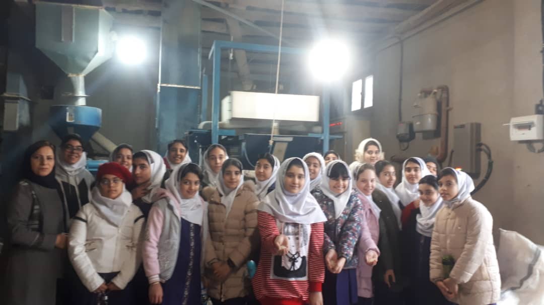 بازدید دختران ششم از کارخانه برنجکوبی